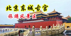 美女被大鸡巴操视频。中国北京-东城古宫旅游风景区